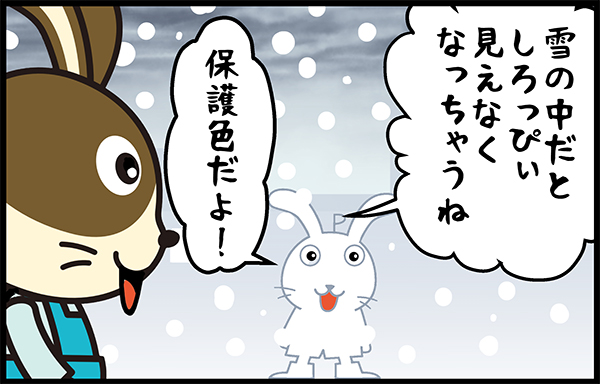 初雪うさっぴぃ