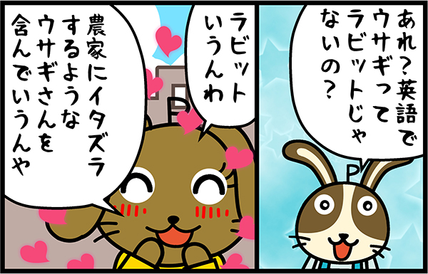 ミミリンバニーちゃん