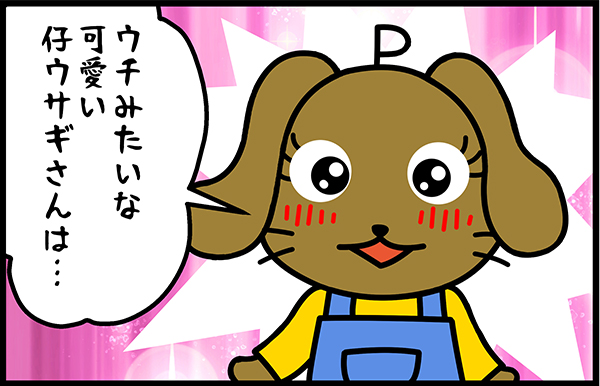 ミミリンバニーちゃん